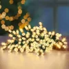 LED battery Christmas string lights with 100 warm white LEDs for indoor and outdoor use