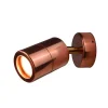 Adjustable Natural Copper Outdoor Wall Light