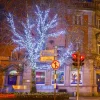 Outdoor tree lights in ice white