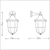 Outdoor Lantern Wall Light Dimensions