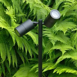 Twin Outdoor Mounted Spike Light | Garden Lights