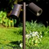 Outdoor Mounted Garden Spike Light Twin | Garden Lights