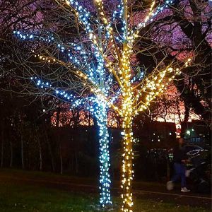 Outdoor Tree Lights