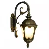 1L Brass Outdoor Lantern