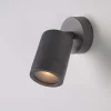 Adjustable Graphite Outdoor Wall Light