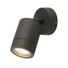 Adjustable Graphite Outdoor Wall Light