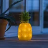 LED Acrylic Pineapple Outdoor Decor