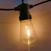 Vintage Festoon Lights