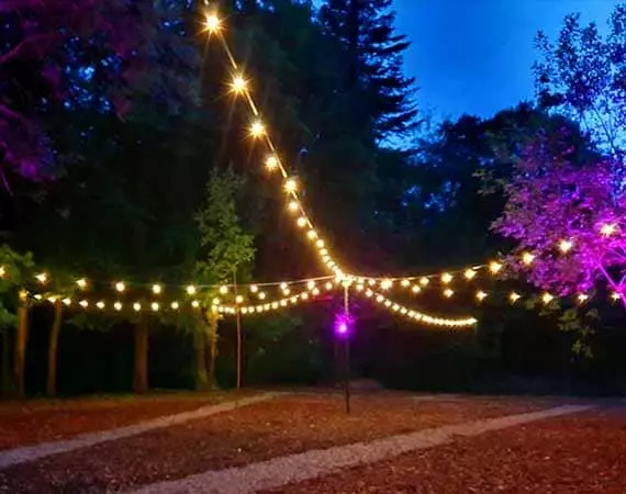 Festoon Lights 10mtr