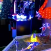 Hanging LED Dolphins