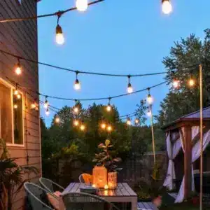 Outdoor festoon lights drop harness 10 metres