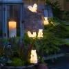 LED Acrylic Squirrels for Garden Decor