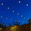 20 LED Clear Bulb Festoon Lights