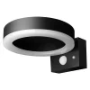 Solar Sensor Outdoor Wall Light in Black