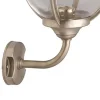 Nickel Opal Glass Outdoor Wall Light