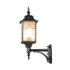 Outdoor Wall Lantern in Black Finish