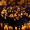 1000 Multifunction Outdoor Christmas Lights