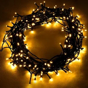 240 Multifunction Outdoor Christmas Lights