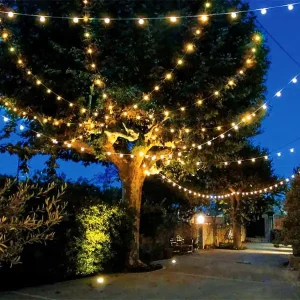 Festoon lighting harness 50mtr roll