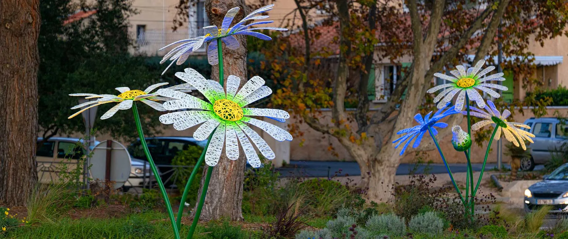 Plants for ground decorations