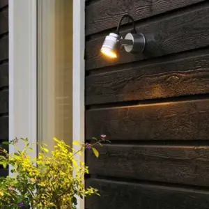 Silver Outdoor Wall Light