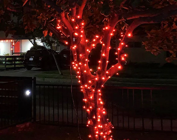 Connectable White Cable Outdoor Christmas Lights Red