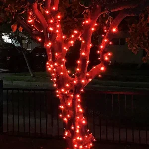 Connectable White Cable Outdoor Christmas Lights Red