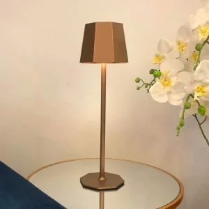 Touch control rechargeable table lamp in brown colour for indoor and outdoor use