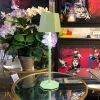 Touch control rechargeable table lamp in green colour for indoor and outdoor use