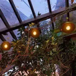 20 LED Shade Festoon Party Lights