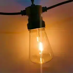 20 LED Warm White Vintage Festoon Lights