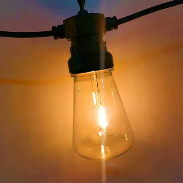 20 LED Warm White Vintage Festoon Lights