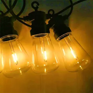 20 LED Warm White Vintage Festoon Lights