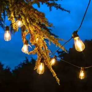 20 LED Warm White Vintage Festoon Lights
