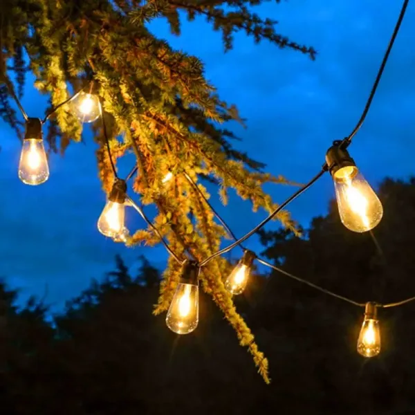 20 LED Warm White Vintage Festoon Lights