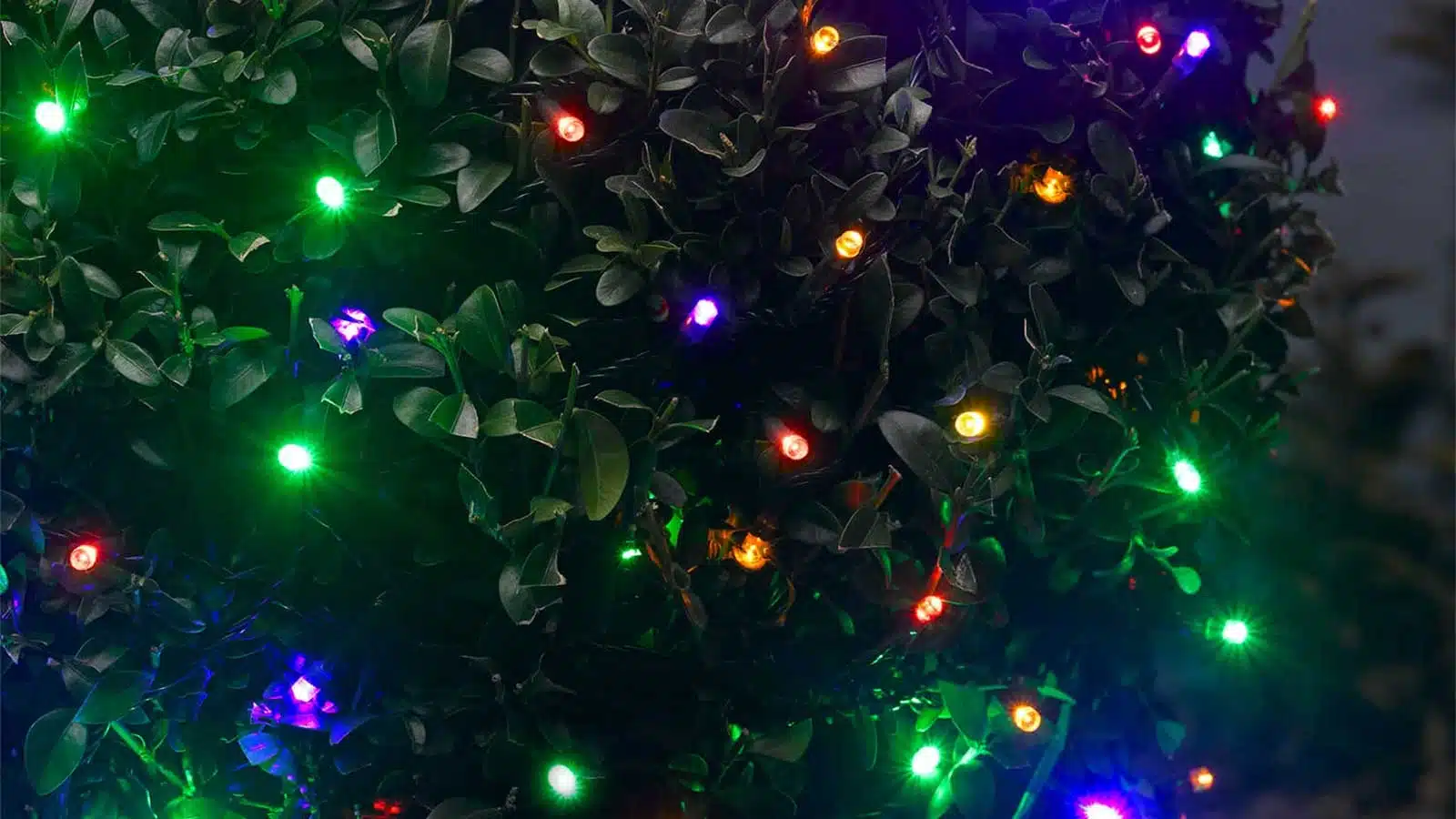500 multifunction LED Christmas lights multi colour display