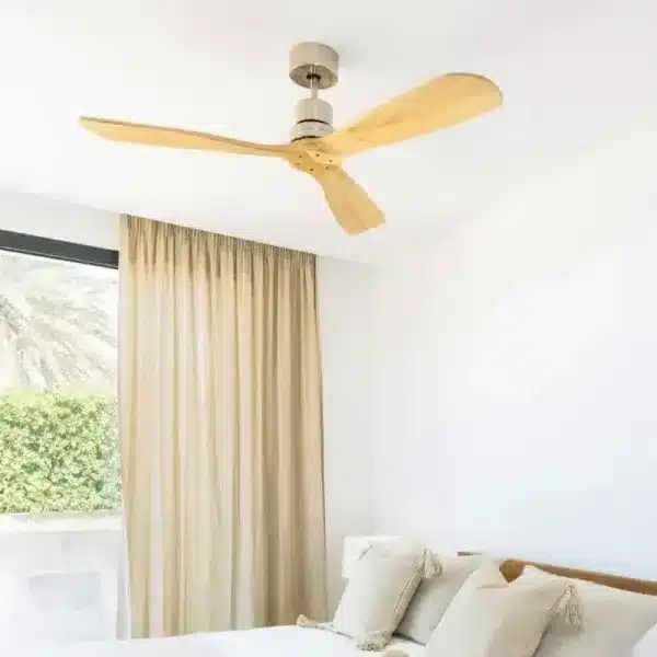 Ceiling Fans