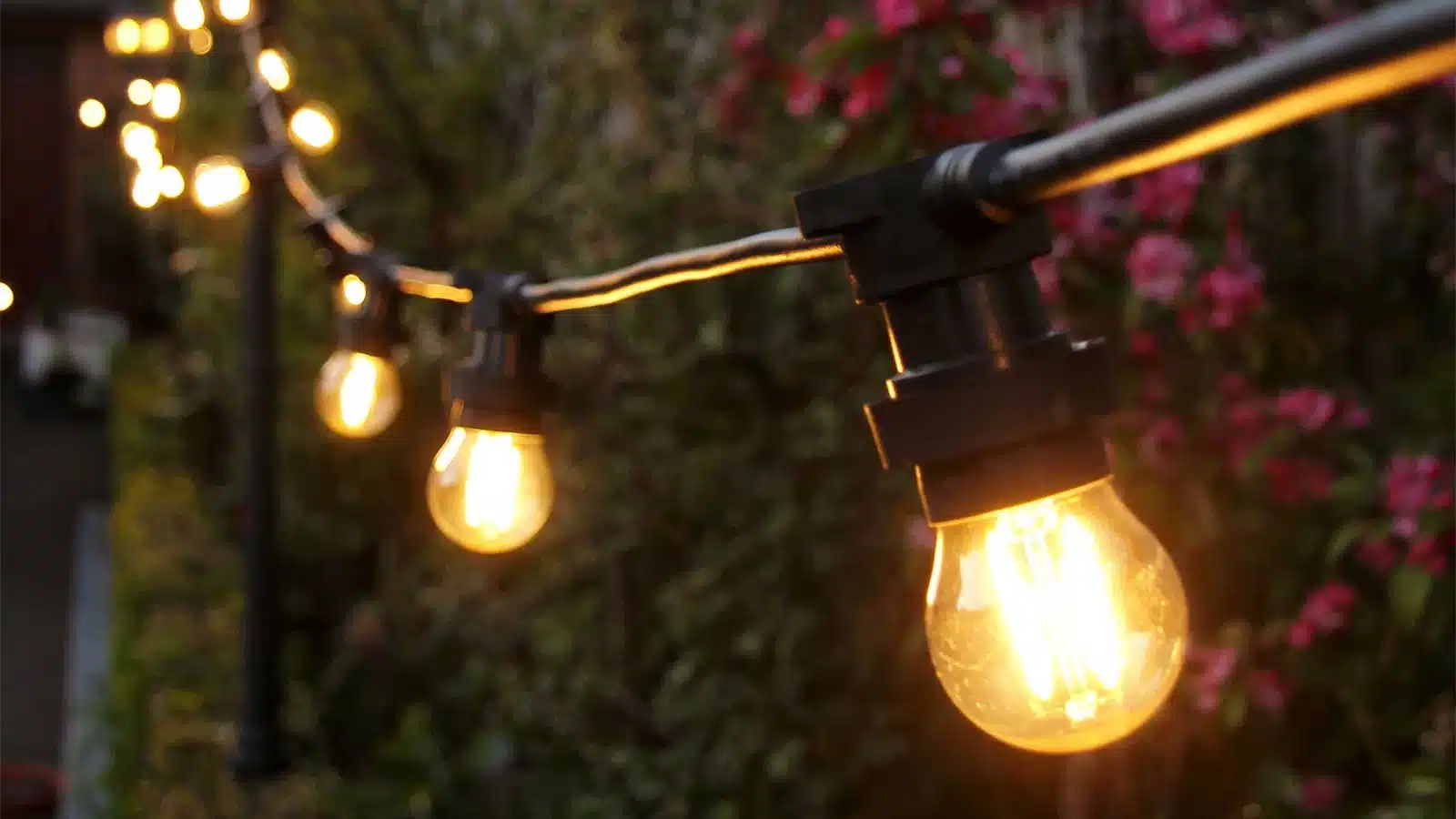 Connectable 10 metre festoon lights harness outside display