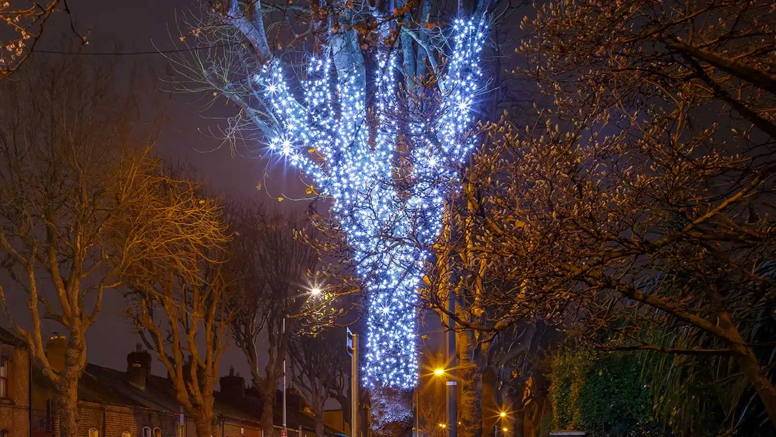 Connectable low voltage ice white with flash LED string lights tree display