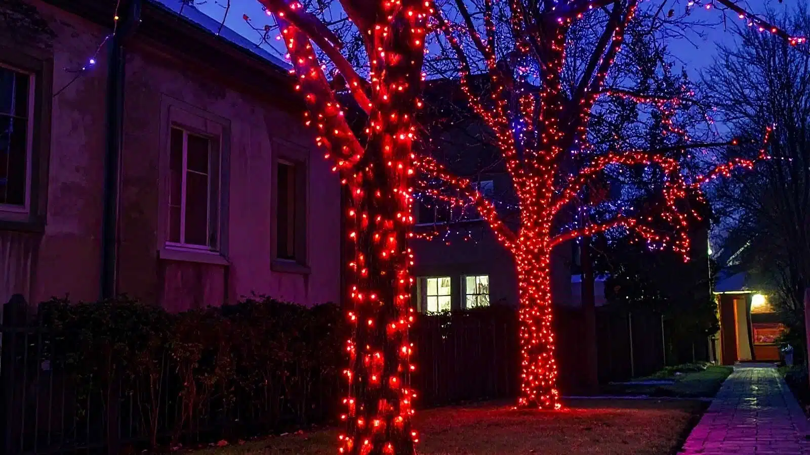 Connectable low voltage outdoor Christmas lights red display black cable