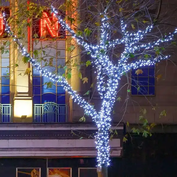 Connectable low voltage LED string lights black cable feature ice white LEDs outdoor tree display
