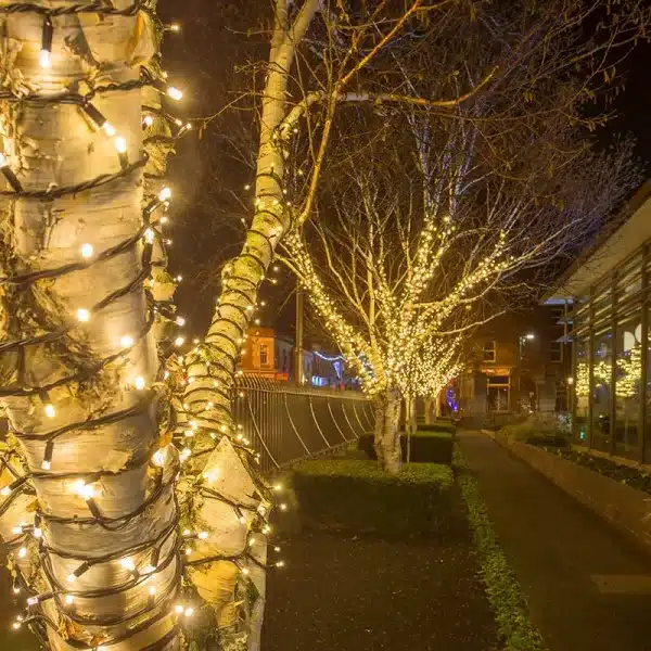 Connectable low voltage LED string lights black cable feature warm white LEDs outdoor trees display