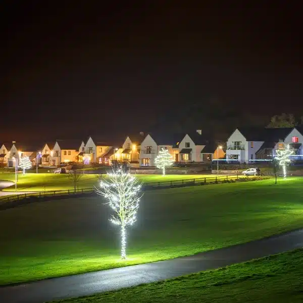 Connectable low voltage LED string light white cable on outdoor trees