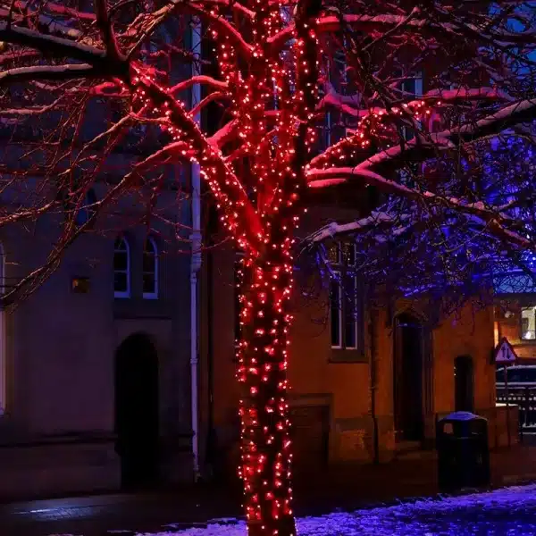 Connectable red Christmas string light white cable on outdoor tree