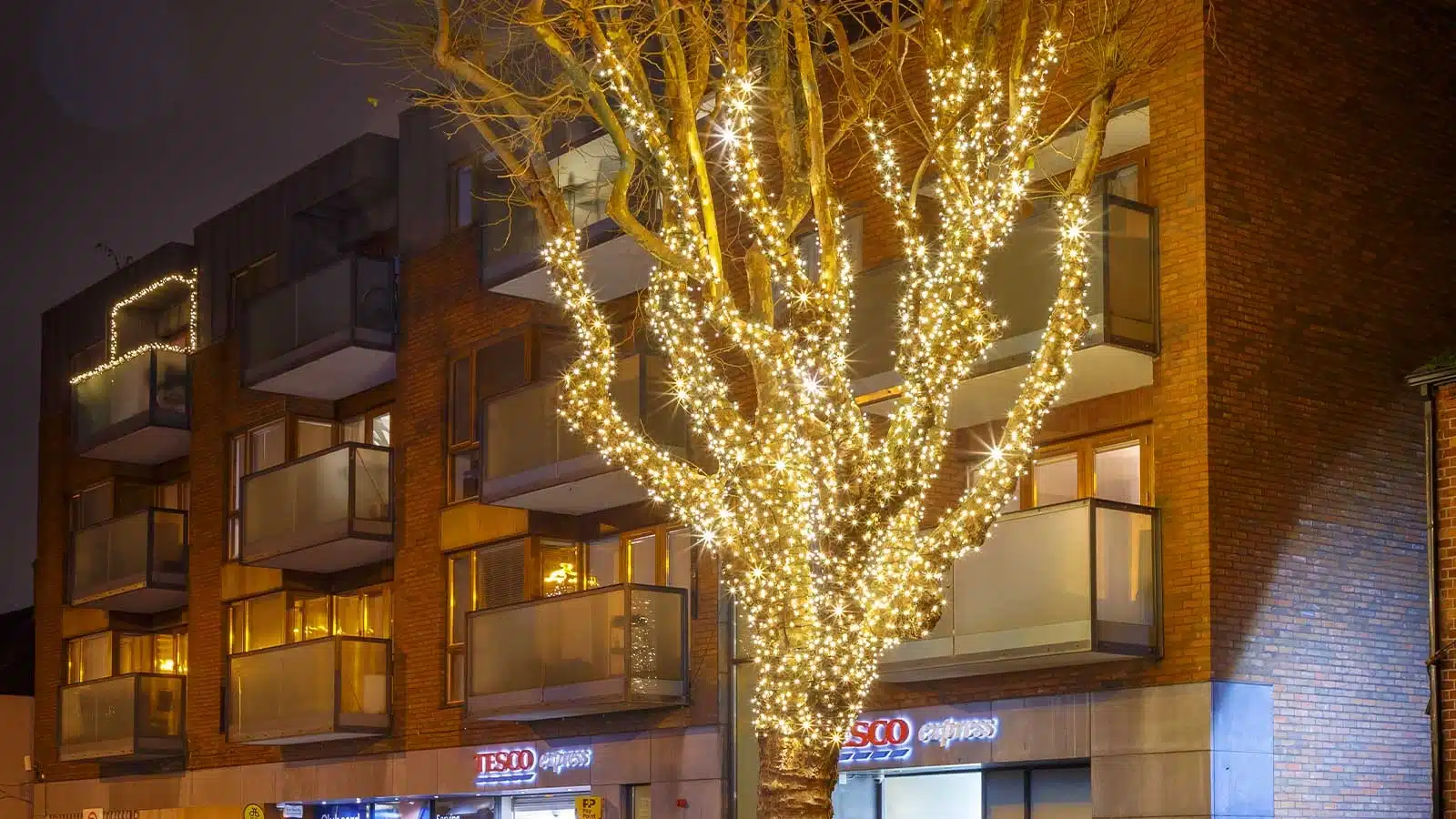 Connectable warm white outdoor Christmas tree lights display