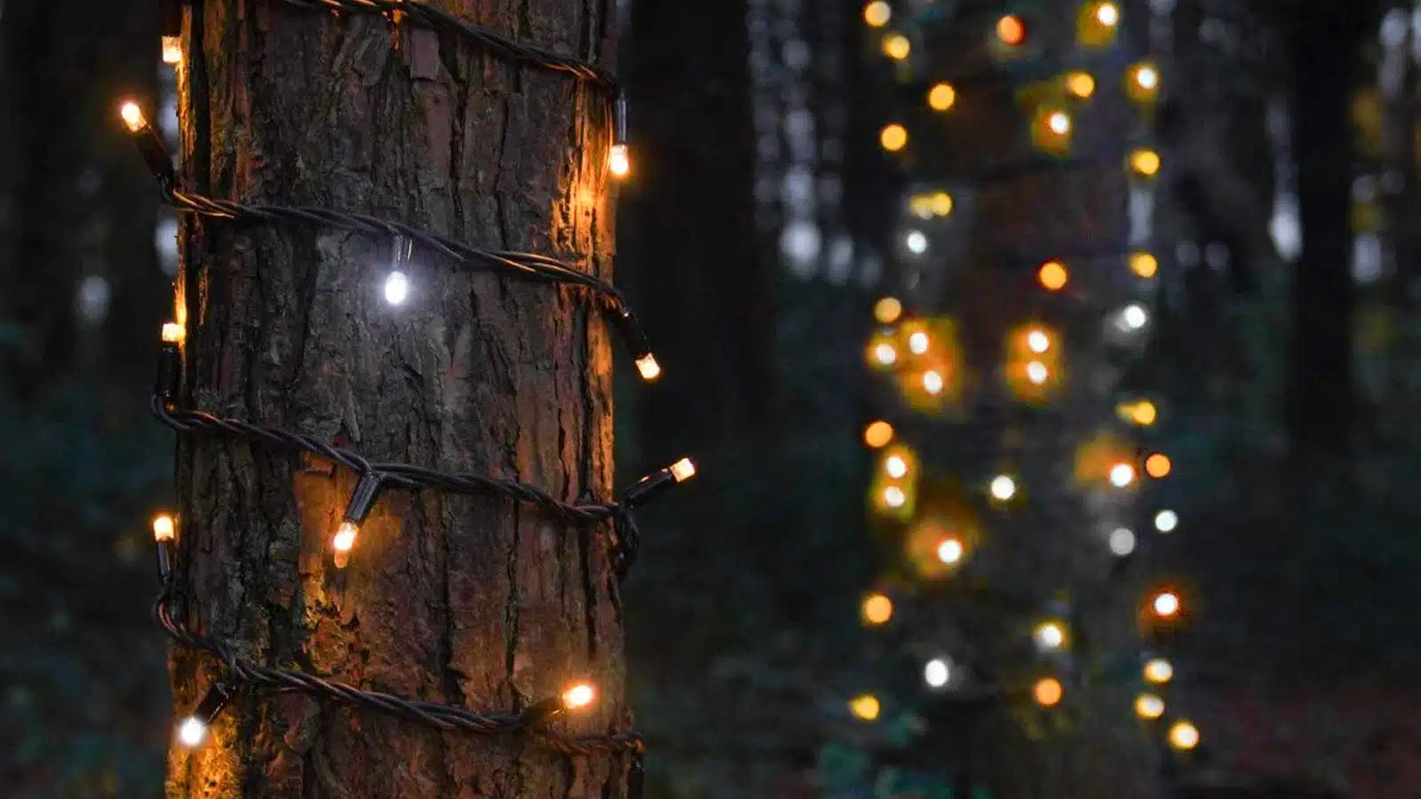 Connectable low voltage LED string lights warm white with ice white flash display
