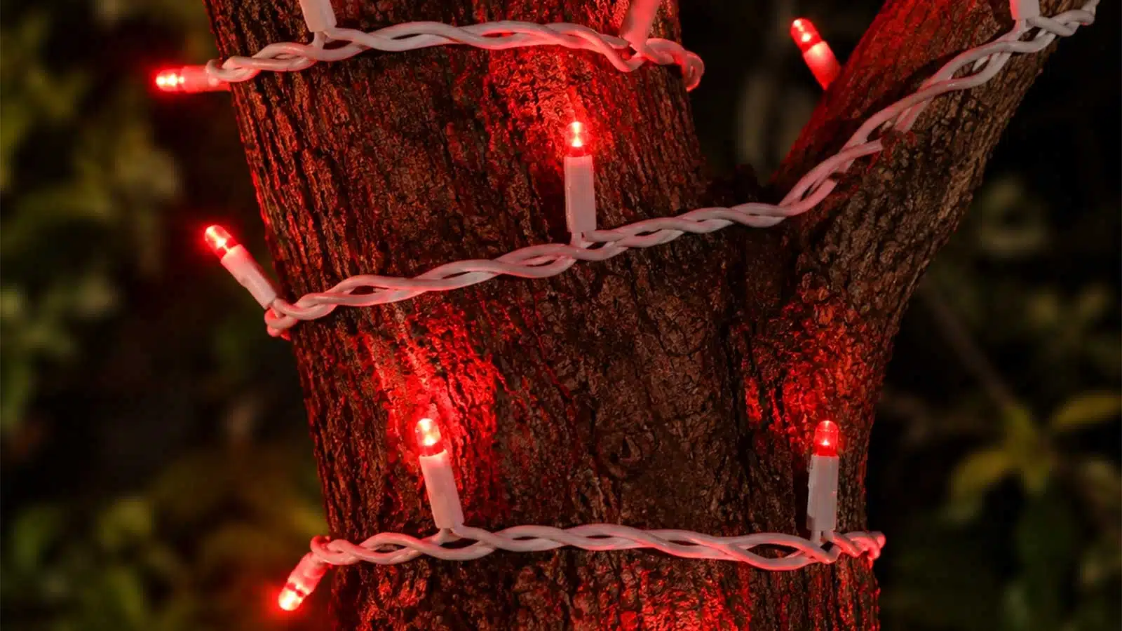 Connectable red outdoor Christmas lights white cable display