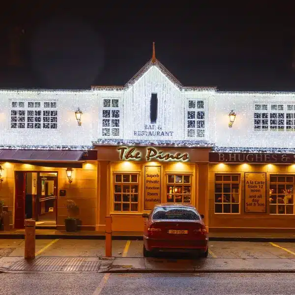 LED curtain Christmas lights in ice white 1.5M front view