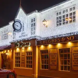 LED curtain Christmas lights in ice white product main image