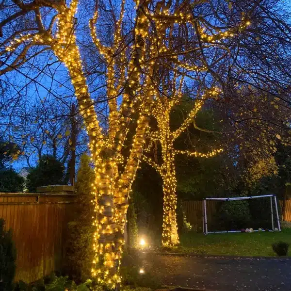 Connectable low voltage LED string lights black cable feature warm white LEDs garden trees display